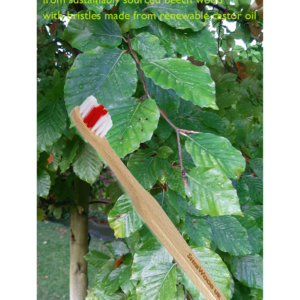 SherWood Junior Toothbrush